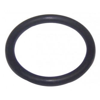 Oil Filter Adapter O-Ring