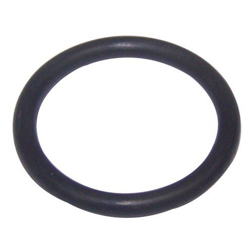 Oil Filter Adapter O-Ring