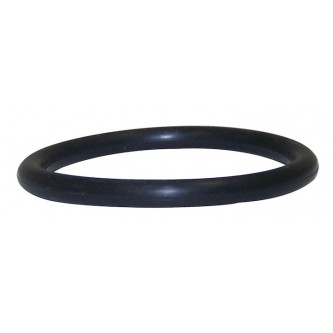 Oil Filter Adapter O-Ring