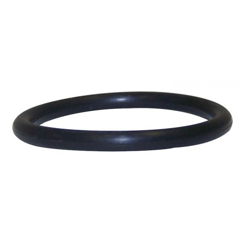 Oil Filter Adapter O-Ring