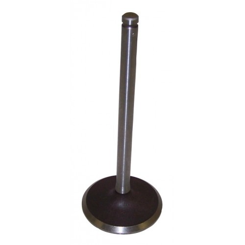 Intake Valve