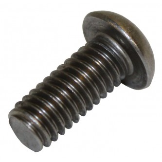 Windshield Frame Screw