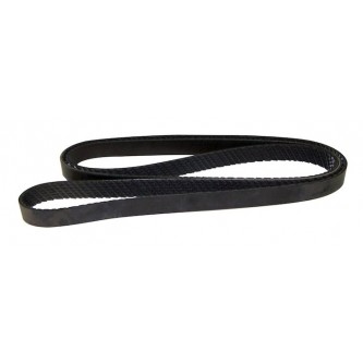 Accessory Drive Belt