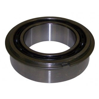 Input Shaft Bearing