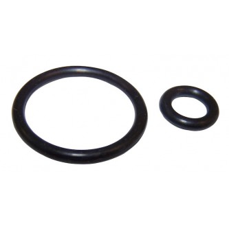 Fuel Pressure Regulator O-Ring Set