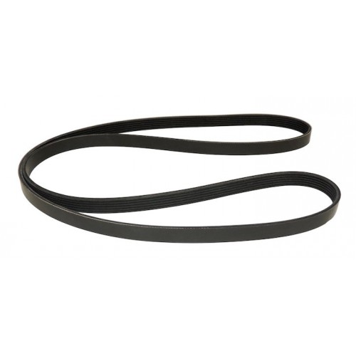 Accessory Drive Belt