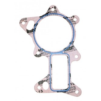 Water Pump Gasket