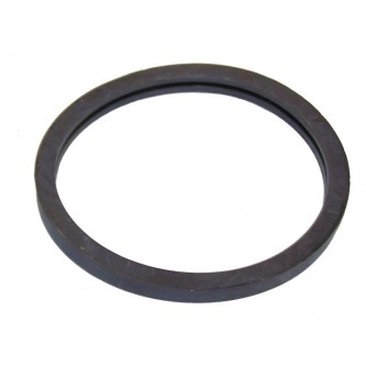 Thermostat Housing Gasket