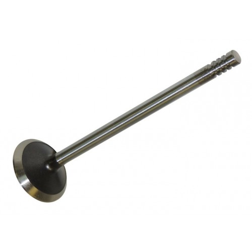 Exhaust Valve