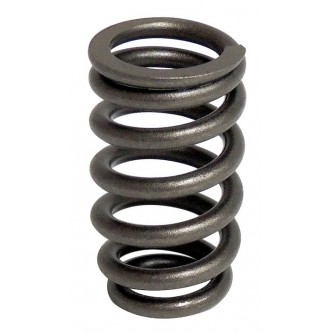 Valve Spring