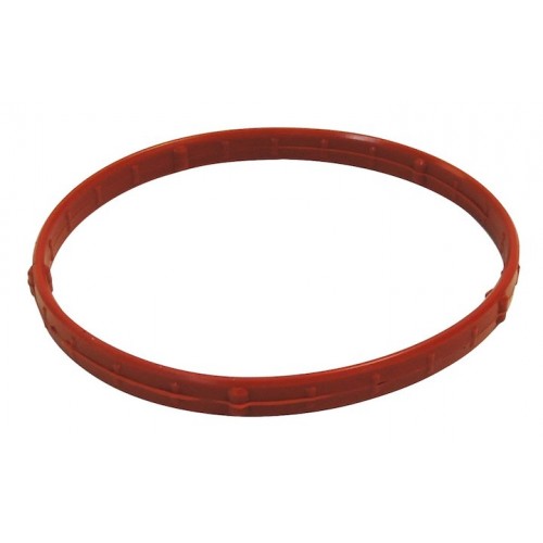 Throttle Body Gasket