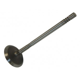 Intake Valve