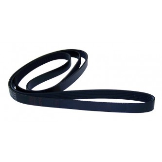 Accessory Drive Belt