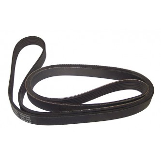 Accessory Drive Belt