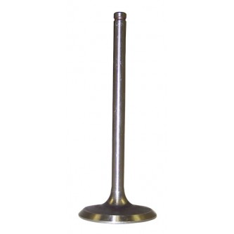 Intake Valve