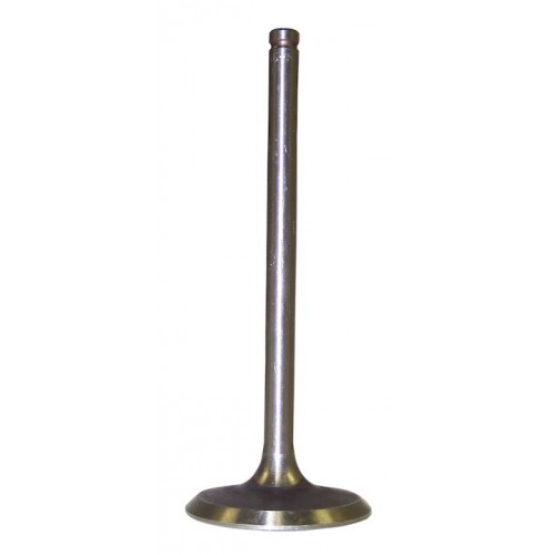 Intake Valve