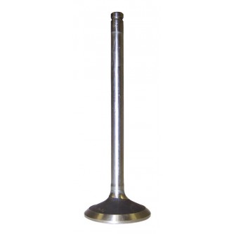 Exhaust Valve