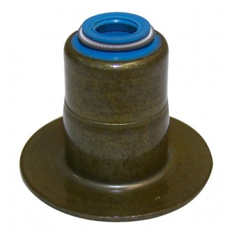 Valve Seal