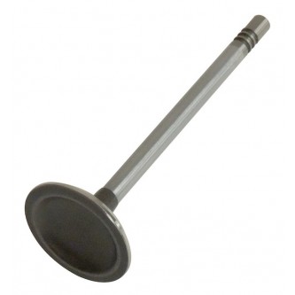 Exhaust Valve