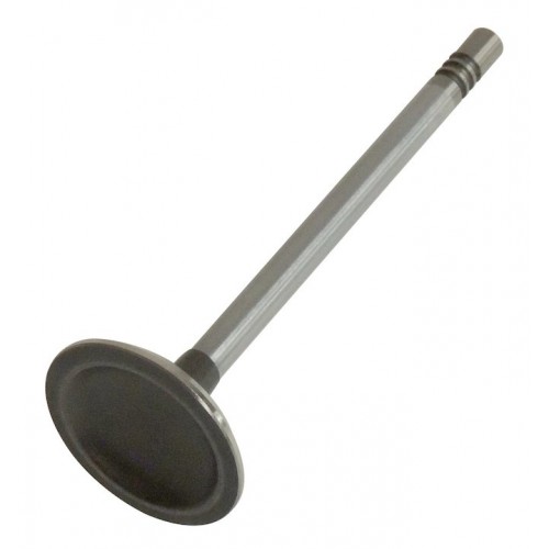 Exhaust Valve