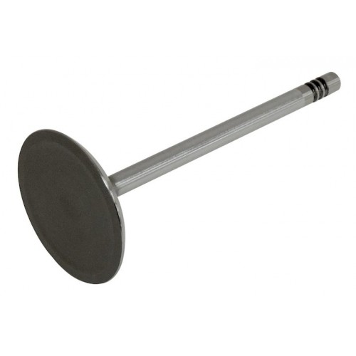 Intake Valve