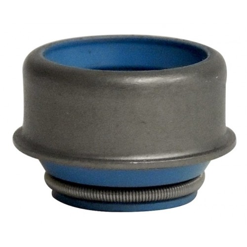 Valve Seal