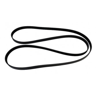 Accessory Drive Belt