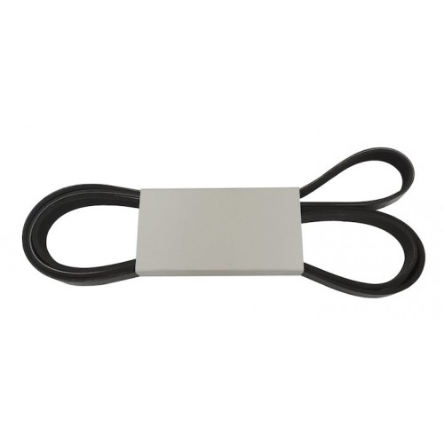 Accessory Drive Belt