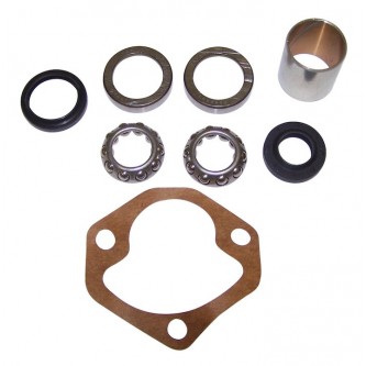 Steering Box Repair Kit