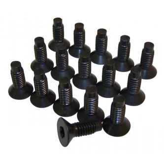 Windshield Frame Screw Kit. 16 pieces included