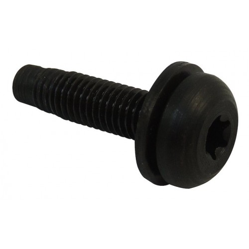 Hard Top Screw