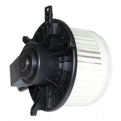 Blower Motor