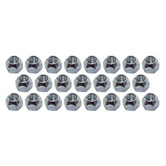 Lug Nut, 23 Pack