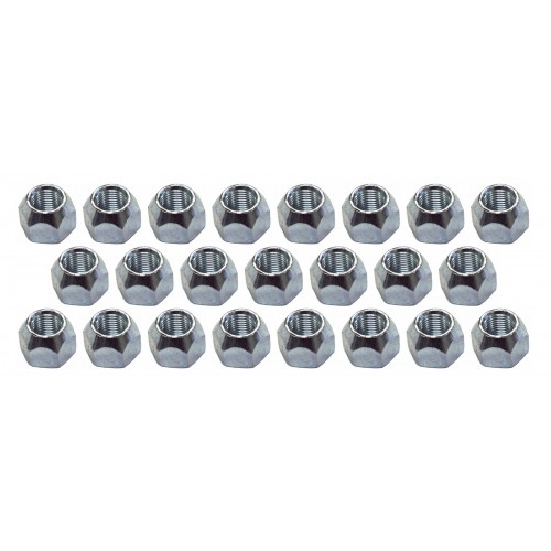 Lug Nut, 23 Pack
