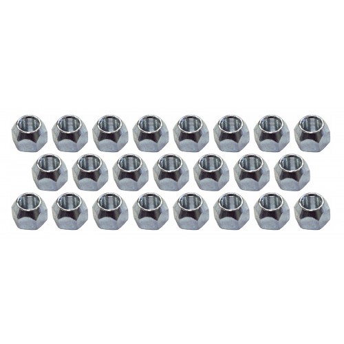 Lug Nut, 23 Pack