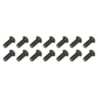 Windshield Frame Screw. 14 Pack