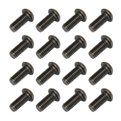 Windshield Frame Screw. 16 Pack