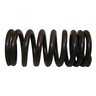 Valve Spring