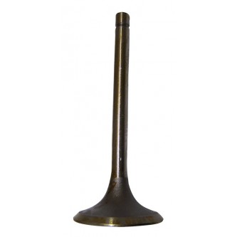 Intake Valve