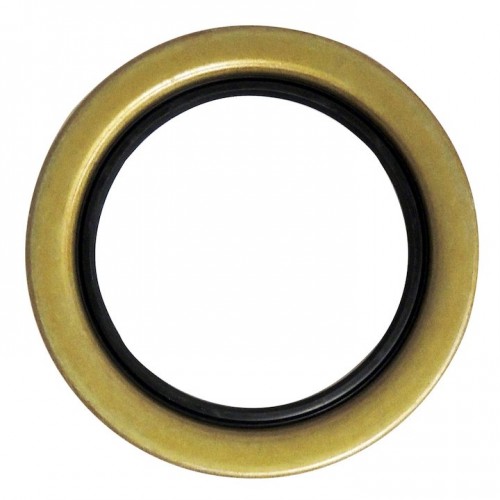 Hub Seal