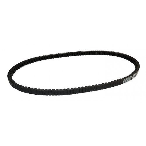 Accessory Drive Belt