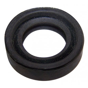 Worm Shaft Seal