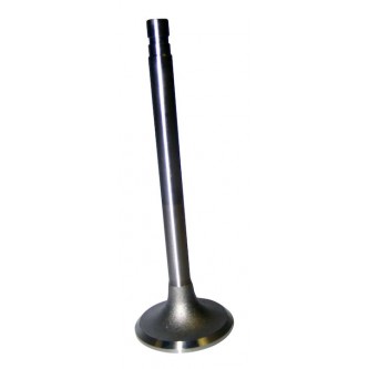 Exhaust Valve