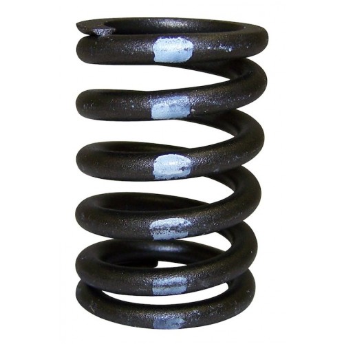 Valve Spring