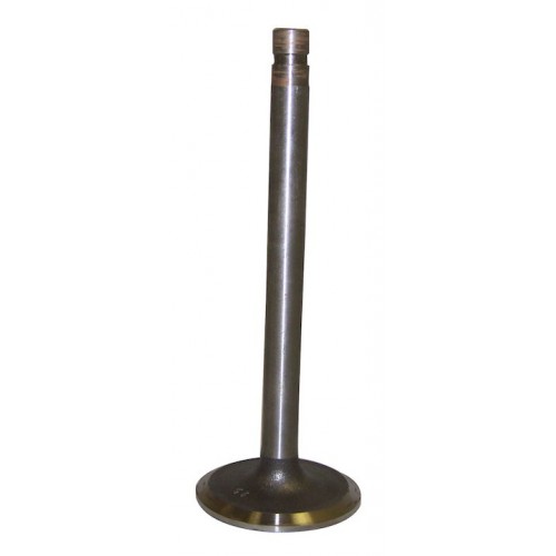 Intake Valve