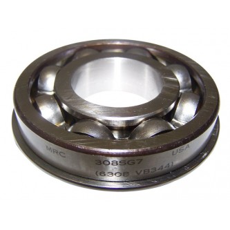 Input Shaft Bearing