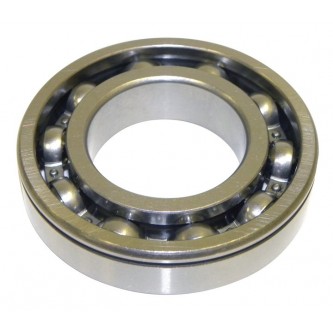 Input Shaft Bearing