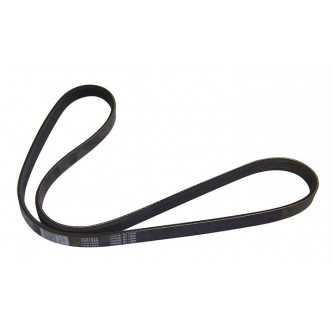 Accessory Drive Belt